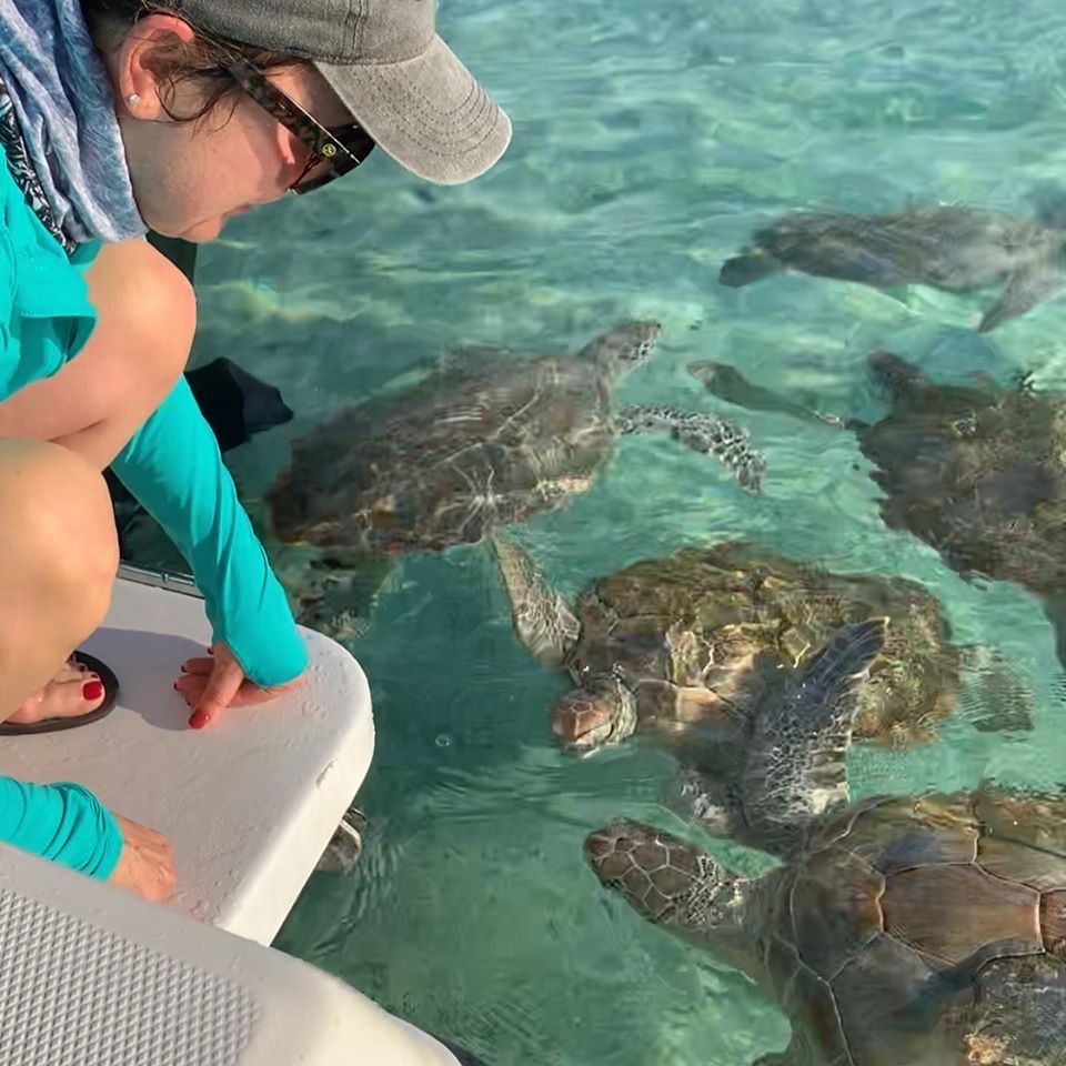 Feeding Green Sea Turtles