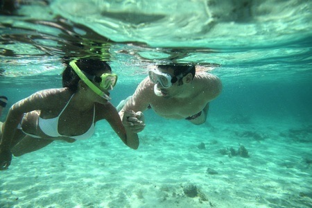 guided family snorkeling tours in northern eleuthera guided family snorkeling tours in northern eleuthera