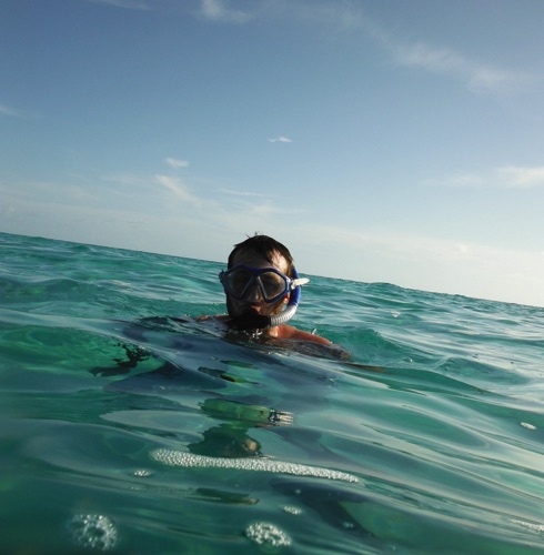 guided family snorkeling tours in northern eleuthera guided family snorkeling tours in northern eleuthera