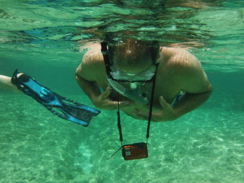 guided family snorkeling tours in northern eleuthera guided family snorkeling tours in northern eleuthera